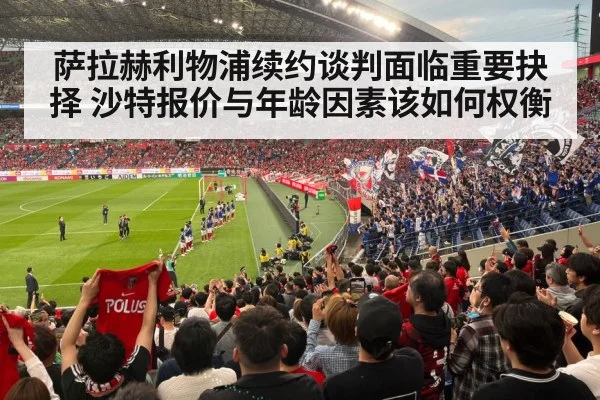 football stadium fans